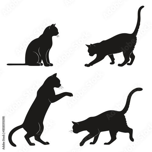 Silhouettes of cats in various poses