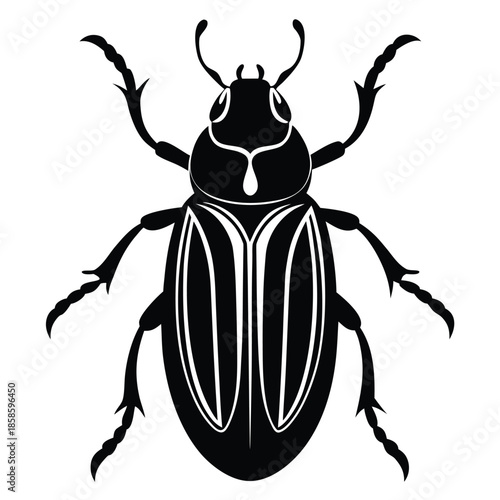 beetle vector on white background
