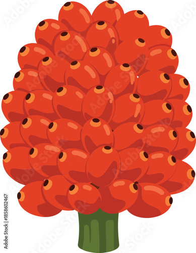 Red Puffball Mushroom with Green Stem.