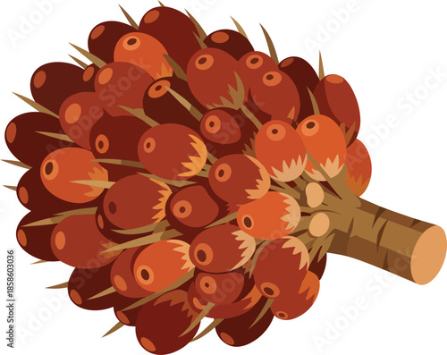 Pine cone illustration with brown scales.