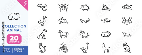 Collection of animal line icons for design
