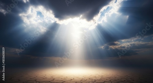 A vast, barren landscape with a single, solitary tree standing tall against a backdrop of dark, stormy clouds.