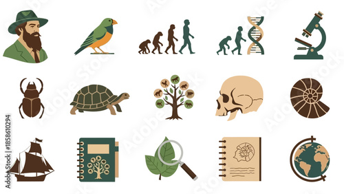 A collection of flat design icons representing various aspects of evolutionary biology and scientific discovery.