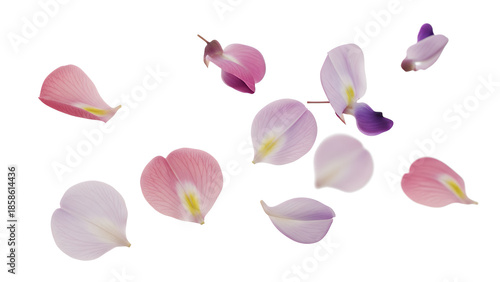 Floating flower petals in a serene and delicate dance against a white background