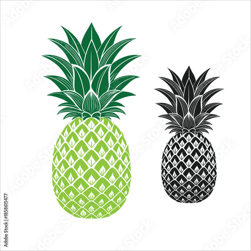 Coloring Book For Kid Pineapple vector