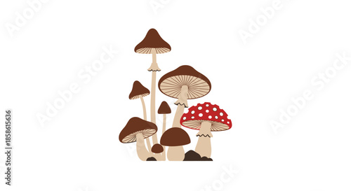 Group of various wild forest mushrooms including a poisonous red fly agaric toadstool on a white background.