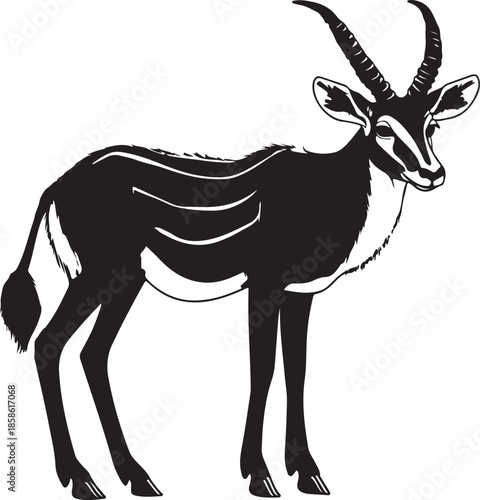 Bongo Antelope Silhouette on Transparent Background