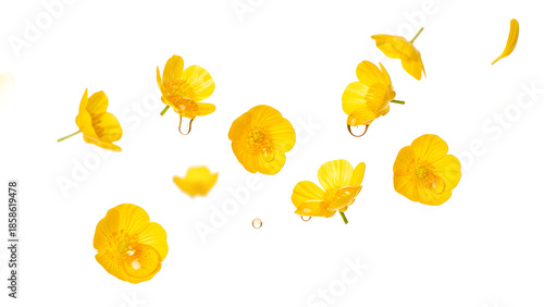 A serene arrangement of floating yellow flower petals in a calm environment