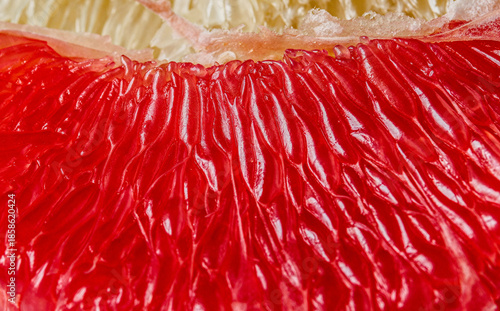 Extreme Macro of Ruby Red Grapefruit Juice Vesicles and Pith