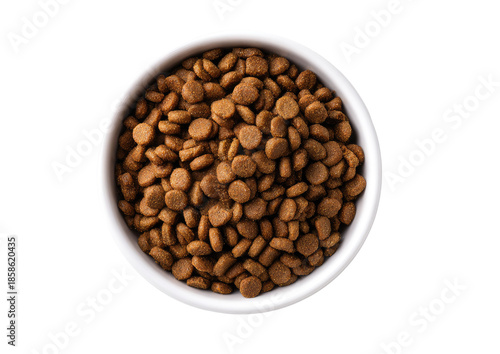 High-angle view of small, round, light brown dog food kibble in a white bowl