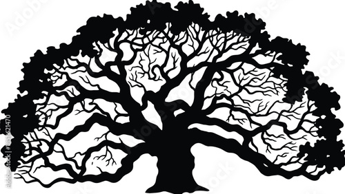 Ancient oak tree silhouette with spreading branches, detailed black nature illustration isolated on white background for design usePrint
