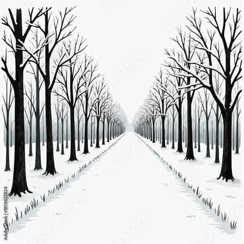 Winter landscape with bare trees lining a snowy pathway  