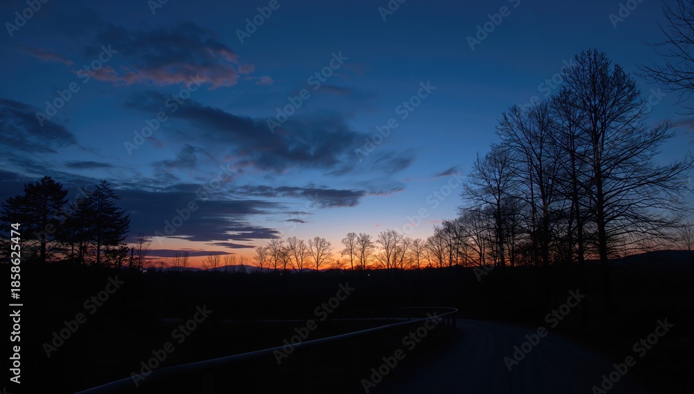 Fototapeta premium Sunset sky with silhouetted trees, suitable for editorial header backgrounds, Earth Day