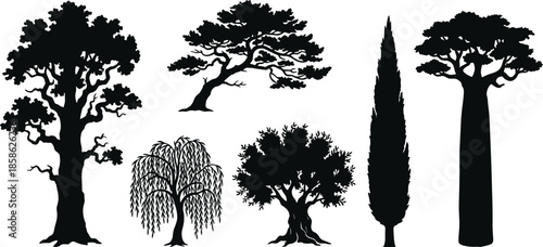 Various tree silhouettes collection, oak pine willow cypress baobab shapes, black vector illustration, isolated botanical forest icons on white background