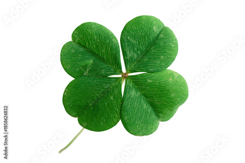 Close-up of a four-leaf clover, vibrant green, detailed veins, isolated on black background