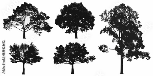 A collection of silhouetted trees in varying shapes and sizes presented together