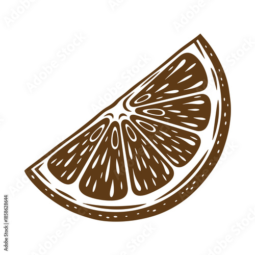 Vintage Brown slice of citrus fruit with white lines on white background
