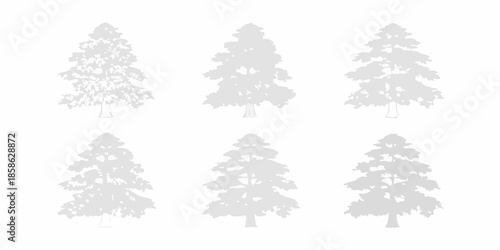 A collection of grayscale coniferous tree silhouettes against a white background