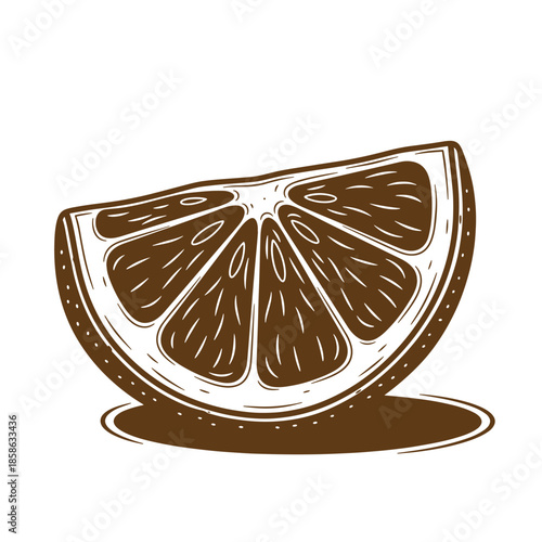 Vintage Illustration of a brown slice of citrus fruit on white background  food and fruit concept