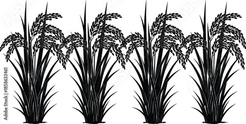Rice Plant Silhouette Illustration Showing Paddy Crop Growth, Black Vector Design for Agriculture, Farming, Harvest, and Botanical Concepts