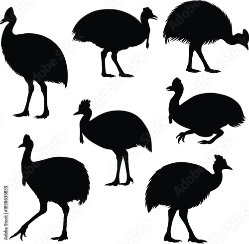 Collection of striking cassowary bird silhouettes in various dynamic poses