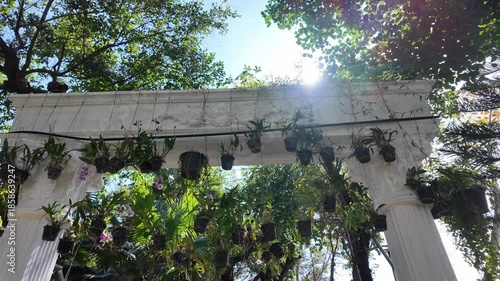 Serene Outdoor Garden Arch Adorned with Vibrant Orchids and Lush Greenery, Bathed in Sunlight, Creates Inviting Atmosphere Surrounded by Natures Beauty
