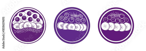 Three circular illustrations depicting a smoothie bowl with layers of blueberries, banana slices, and a purple base.