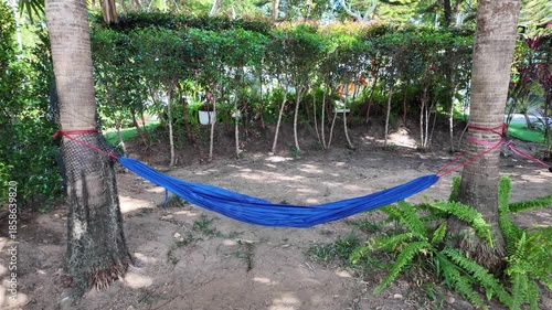 Relaxation in Serene Garden Blue Hammock Nestled Between Palm Trees, Surrounded by Lush Greenery and Ferns for Outdoor Leisure and Nature Enjoyment