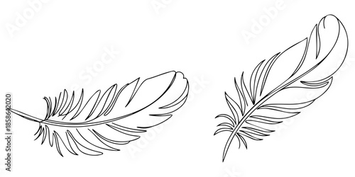 Continuous Line Drawing of Feather Icon, Bird feather line art illustration minimalist continuous line vector drawing, Bird feather continuous one line drawing of bird feather icon Isolated on white.