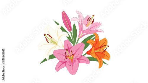 Vibrant cluster of colorful lily flowers in stunning shades of pink, orange, and white, showcasing their exquisite beauty and natural elegance.