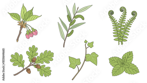 Botanical collection: delicate floral and leaf illustrations in soft pastel tones