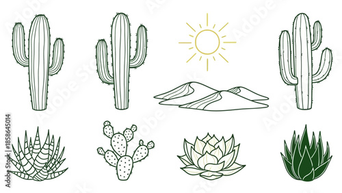 Collection of Hand-Drawn Desert Plants and Landscape Elements.