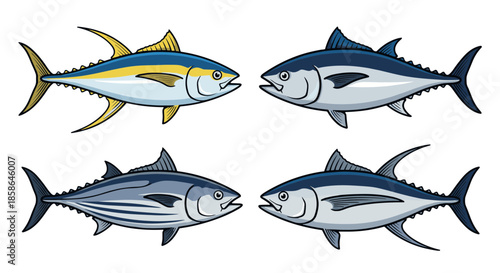 Four illustrations of tuna fish, showcasing different species and their distinctive patterns, captured in a clean vector art style for diverse applications