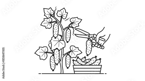 whisk_llubsx_via_RJ_Whisk_Auto.eps