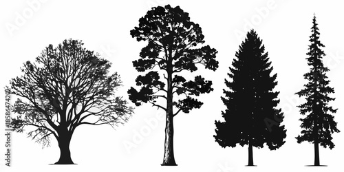Silhouettes of various trees including oak pine and fir against white background