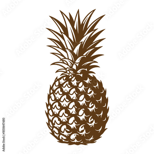 Vintage Brown pineapple fruit with leaves on top isolated on white background