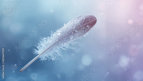 Detailed shot of a feather adorned with clear raindrops against a colorful blue and violet backdrop, macro view for natural textures