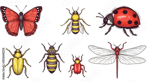 Colorful Hand-Drawn Insect Collection - Butterfly, Bee, Ladybug, Beetle, Wasp, and Dragonfly Illustrations.