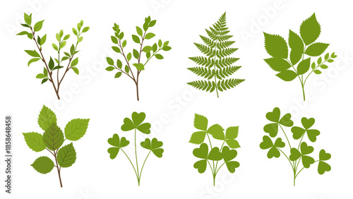 Nature collection: eight green leaf designs featuring varied foliage patterns