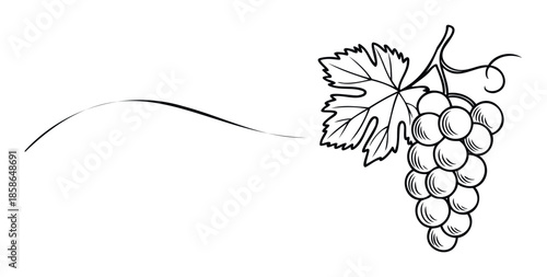 Simple black outline drawing of a fresh grape bunch with a single leaf and elegant flowing line suitable for wine labels menu covers and vineyard branding materials