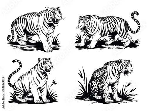 Majestic wild tigers and a powerful jaguar captured in a dynamic black and white style, ideal for apparel prints, branding, or adventurethemed graphic projects