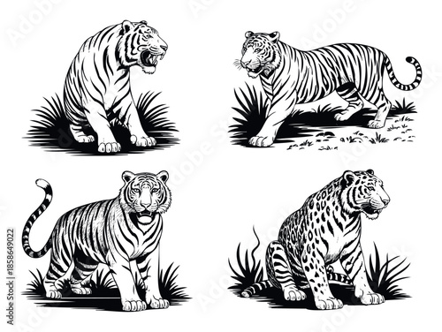 Majestic wild tigers portrayed in various powerful poses, suitable for safari adventure themes, wildlife conservation projects, or striking brand identity emblems