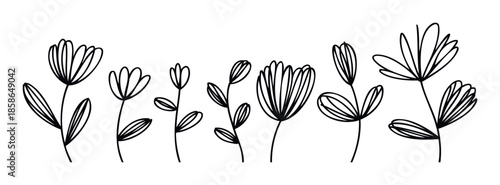 Simple hand drawn botanical outlines depicting stylized flower and leaf stems arranged as a decorative border suitable for natural themed invitations, nursery decor, branding, packaging, or