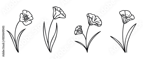 Minimalist black outline botanical plant drawings depicting elegant flowering elements ideal for graphic design print decor or nature inspired projects