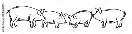 Cheerful pig family standing together in a row, presented in a clear outline style for agricultural branding or educational materials