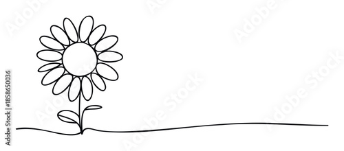 Elegant single line drawing of a sunflower with petals, a stem, and leaves, perfect for spring or summer seasonal greeting layouts