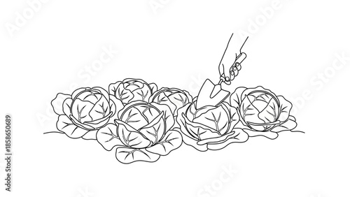 whisk_ii50ra_via_RJ_Whisk_Auto.eps