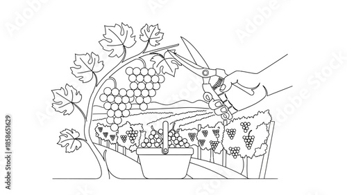 whisk_or45xd_via_RJ_Whisk_Auto.eps