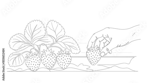 whisk_wrw2e6_via_RJ_Whisk_Auto.eps