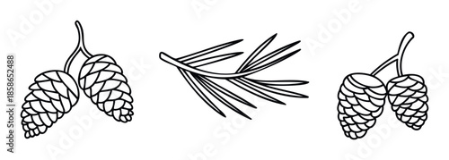 Collection of hand drawn coniferous plant elements including detailed pine cones and a fir branch, ideal for winter themed greeting cards and natureinspired prints.